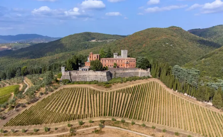 Chianti Wein - Classico, Kauf & Reise: Dein Guide zur Toskana