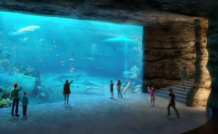 Oceanarium Łódź: Niezapomniane atrakcje i podwodne przeżycia