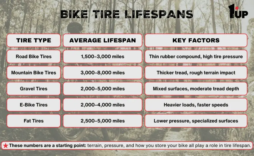How Long Do Mountain Bike Tires Last? The Real Answers