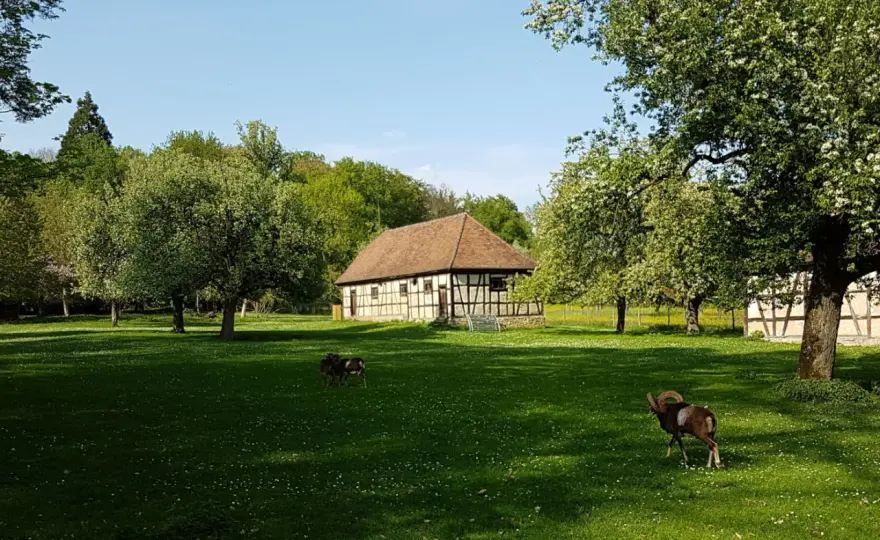 Favoritepark Ludwigsburg – Dein Guide für Natur & Tiere