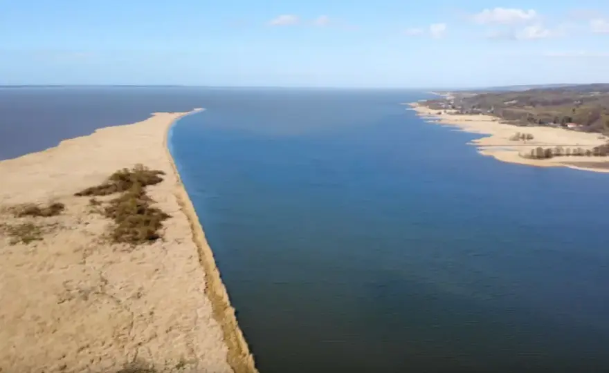 Rezerwat przyrody Zatoka Elbląska - fascynujący świat ptaków i przyrody