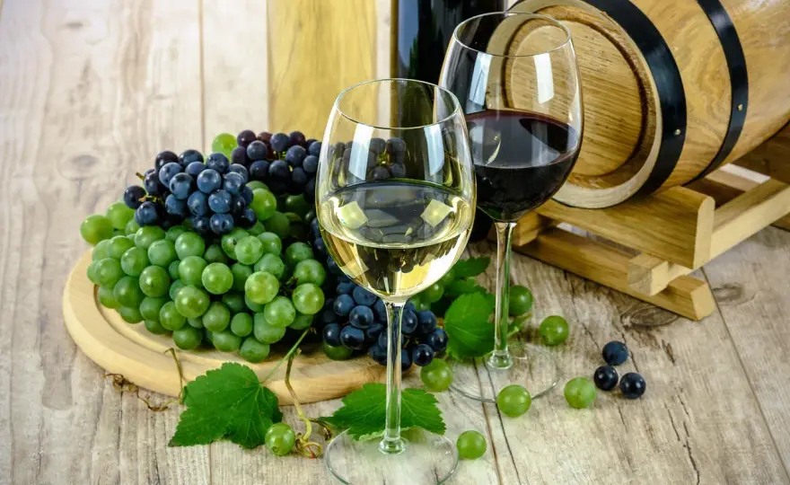 Haut-Médoc - Le guide pour choisir et déguster le bon vin