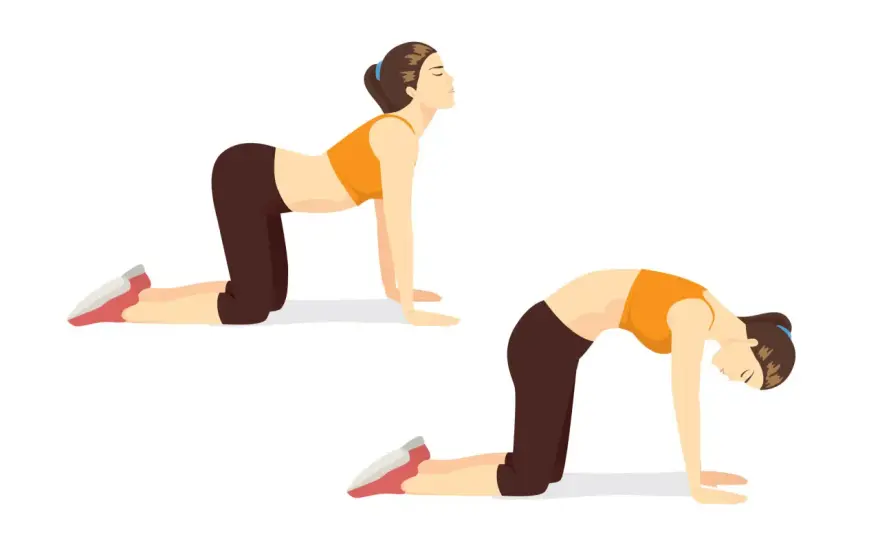 Respiration et douleurs du dos - les exercices qui aident