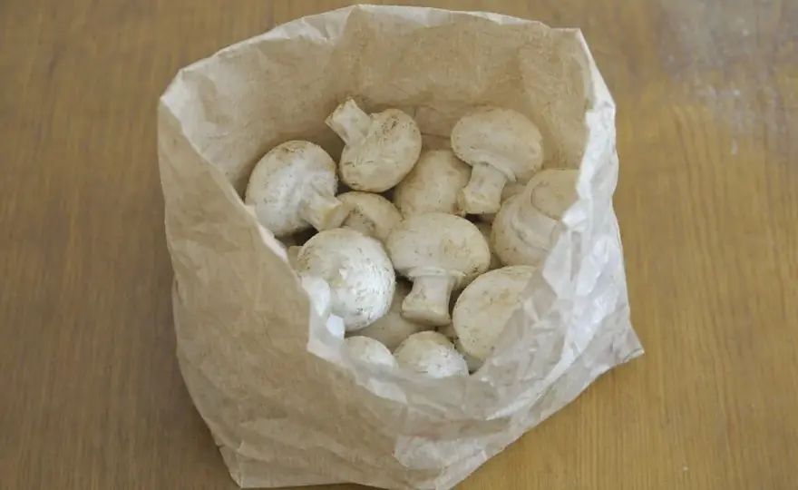 Champignons lagern im Kühlschrank - so bleiben sie länger frisch