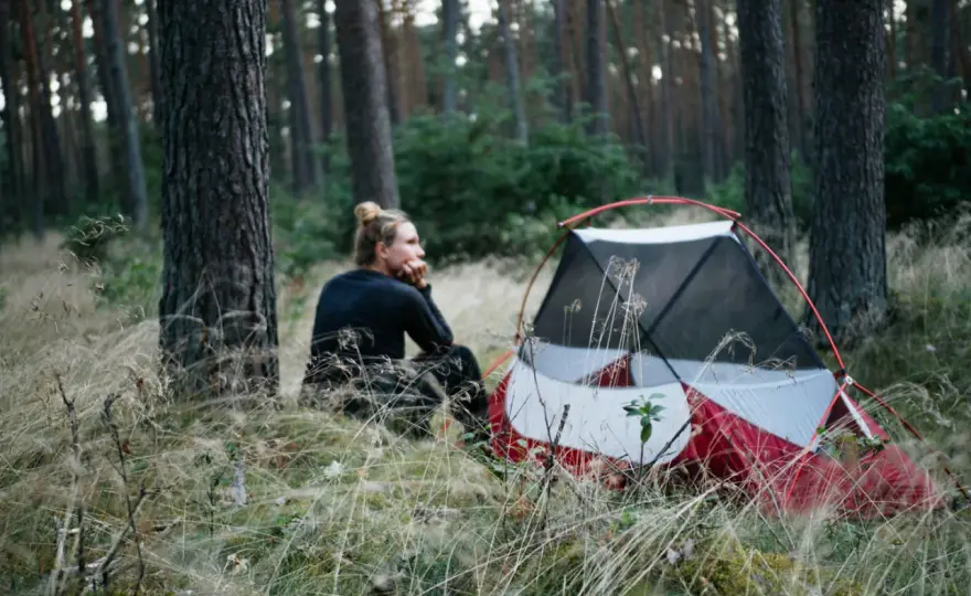 Wildcampen im Wald - was wirklich erlaubt ist