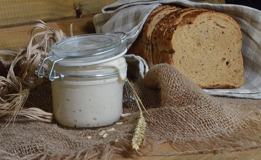 Lievito madre, come rinfrescarlo e usarlo per pane e focacce