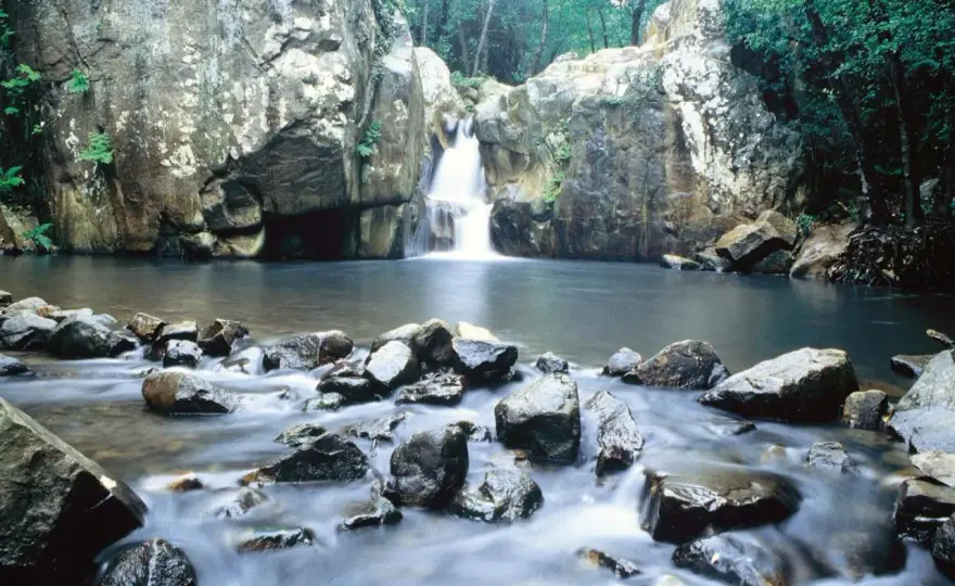 Sendero Río de la Miel - La ruta que sorprende en Algeciras