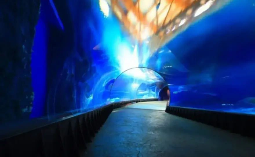 Oceanarium Kołobrzeg - czy warto? Opinie, ceny, porady