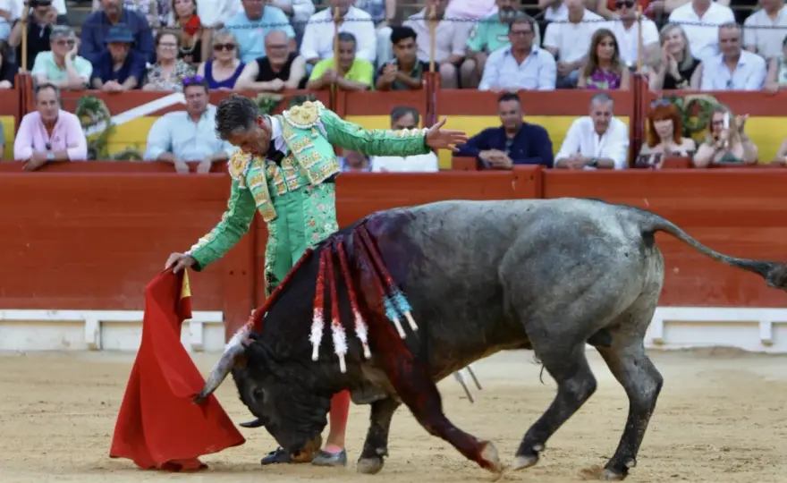 Torero Alicantino - Tradición, Figuras y la Verdad en el Ruedo