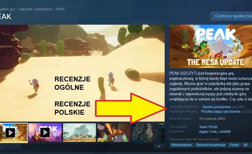 Mistrzowska recenzja gry na Steam: Skuteczne porady, które zachwyca graczy
