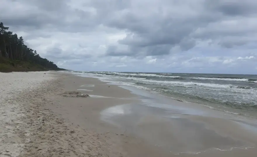 Ile soli w Bałtyku? Niskie zasolenie i jego wpływ na ekosystem