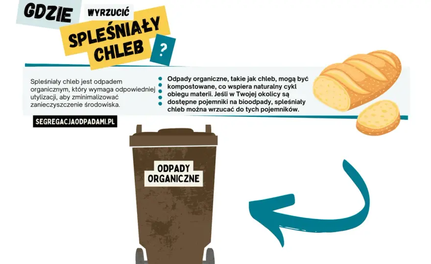 Gdzie wyrzucić spleśniały chleb? Prosty przewodnik