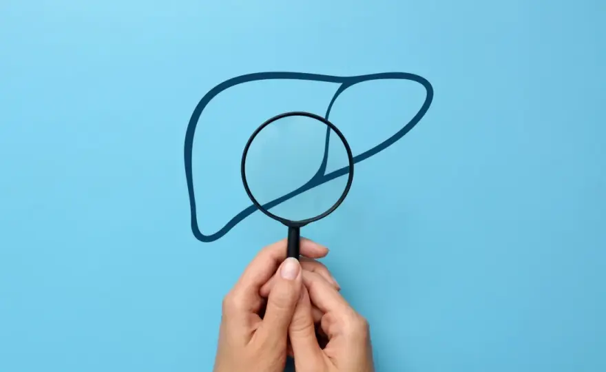 ALT - interpretacja wyniku. Co oznacza podwyższone ALT?