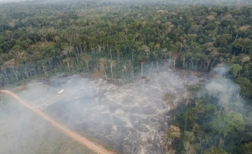 Amazonia - dlaczego to nie tylko las deszczowy?