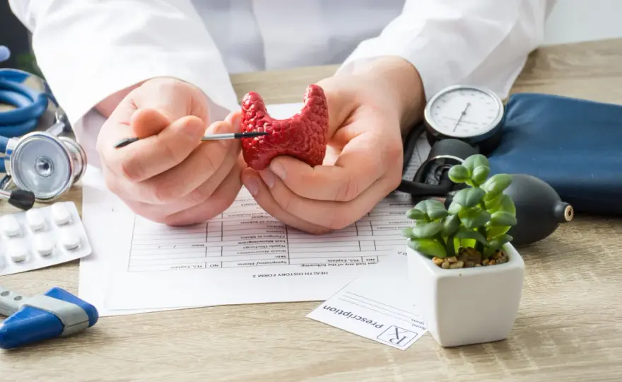 Badania tarczycy - TSH wystarczy? Poznaj pełną diagnostykę!