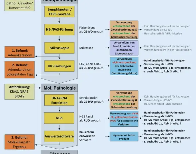 In vitro Diagnostik: Wichtige Informationen zu Tests und Vorschriften