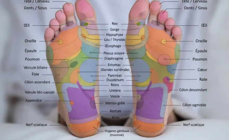 Réflexologie plantaire - effets réels, séance et précautions