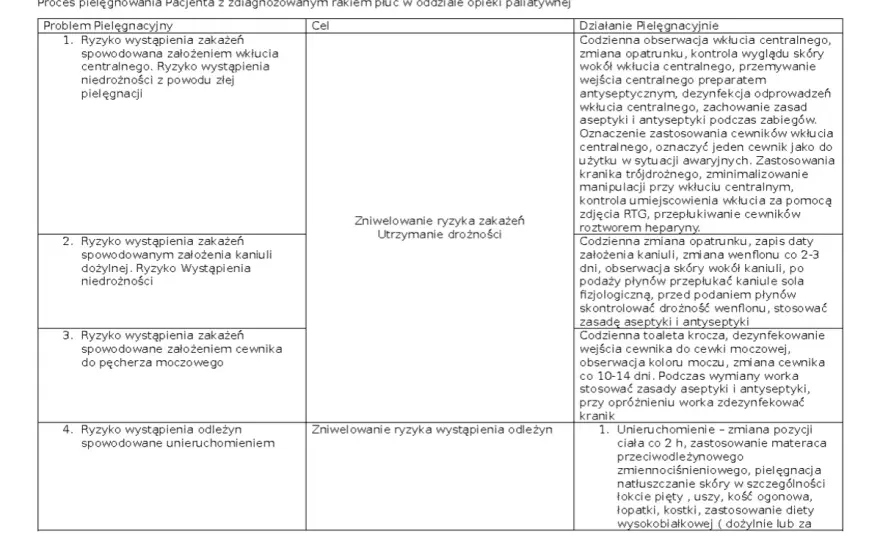 Proces pielęgnowania w opiece paliatywnej - jak robić to dobrze?