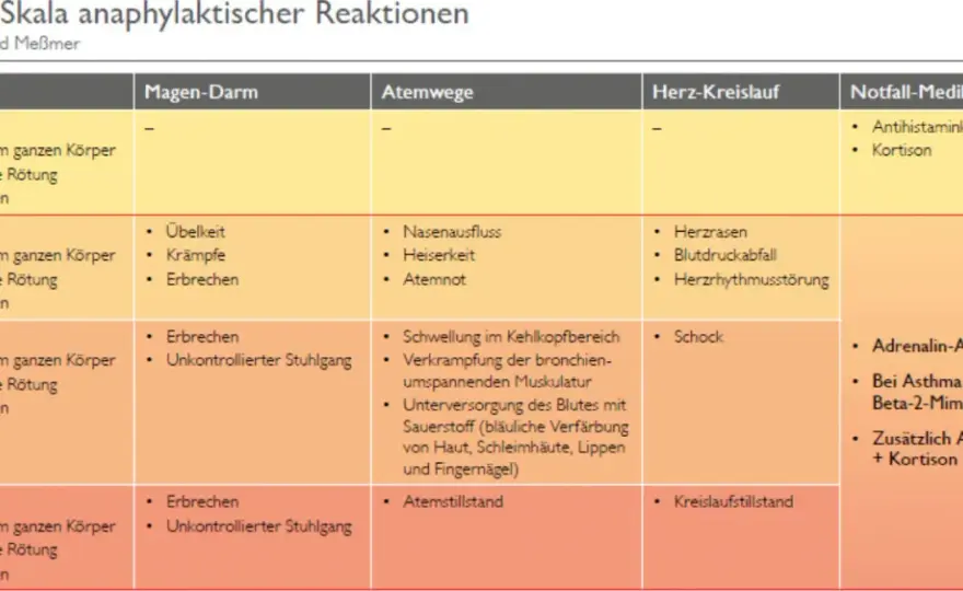 Anaphylaxie erkennen - was im Notfall wirklich zählt