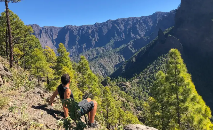 Ruta de laurisilva en La Palma - Guía completa
