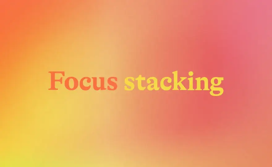 Focus stacking - Jak uzyskać idealną ostrość w każdym planie?