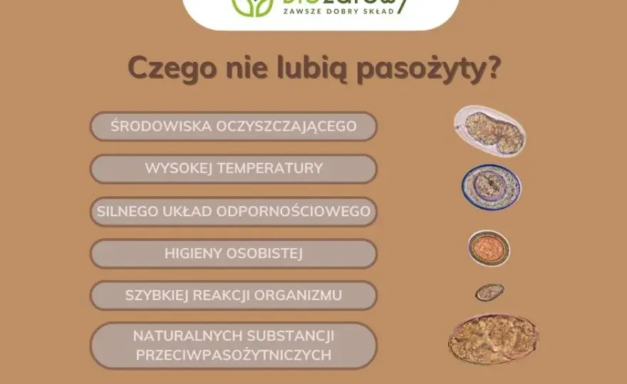 Skuteczne metody odrobaczania: co na odrobaczanie organizmu?
