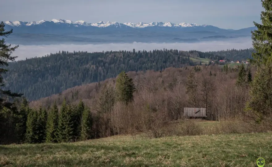 Gorce – Który szczyt wybrać? Turbacz, Gorc czy Jaworzyna?