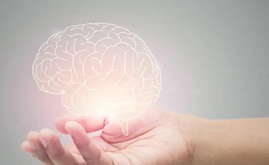 Piracetam (Nootropil) - czy to lek na pamięć? Sprawdź!