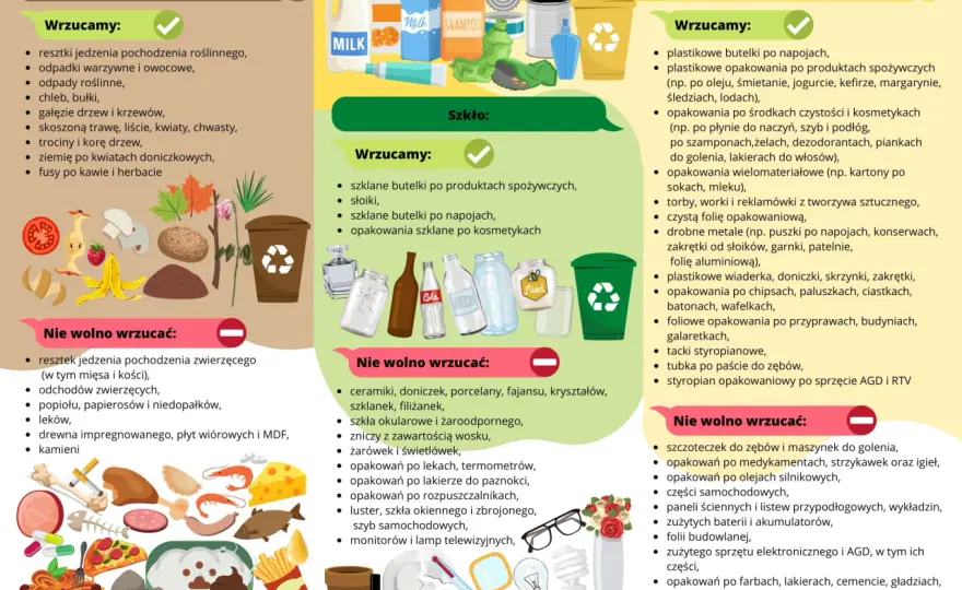 Jak segregować śmieci? Kluczowe zasady JSSO i uniknij kar!