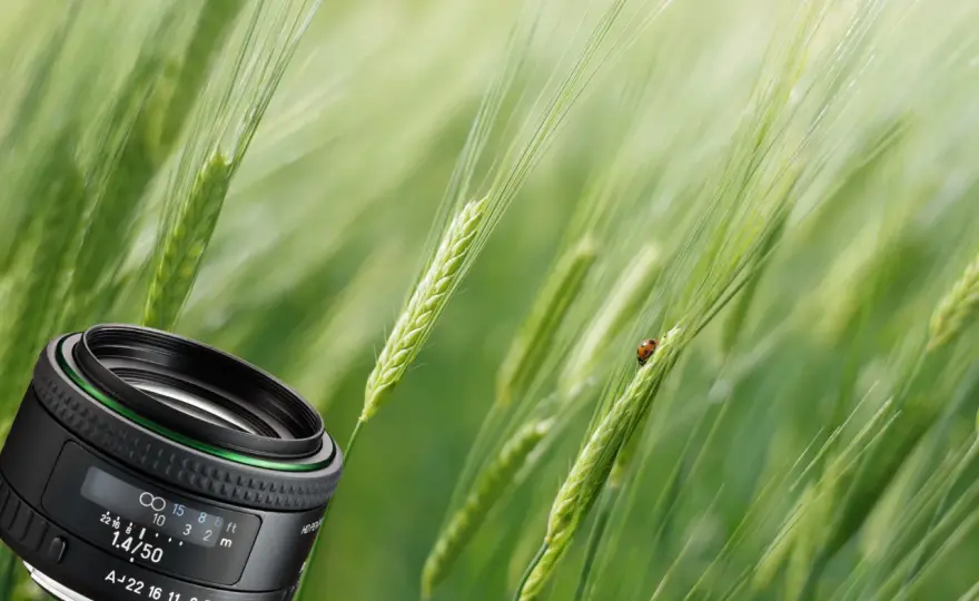 Najlepsze obiektywy do Pentaxa K-50, które poprawią Twoje zdjęcia