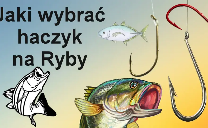 Haczyk na płoć: Klucz do sukcesu? Rozmiar, kształt, drut wybierz mądrze!