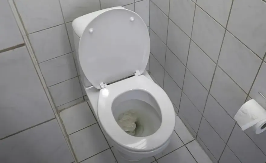 Stopp i toaletten? Fixa proppen själv – så gör du!