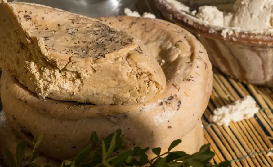 Casu marzu - Ile kosztuje i dlaczego jego cena tak zaskakuje?