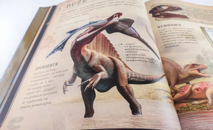 Najlepsza książka o dinozaurach dla dzieci - Jak wybrać mądrze?