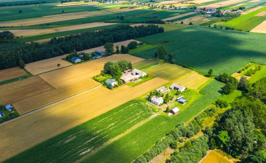 Działka siedliskowa - co możesz zbudować? Sprawdź zanim kupisz!