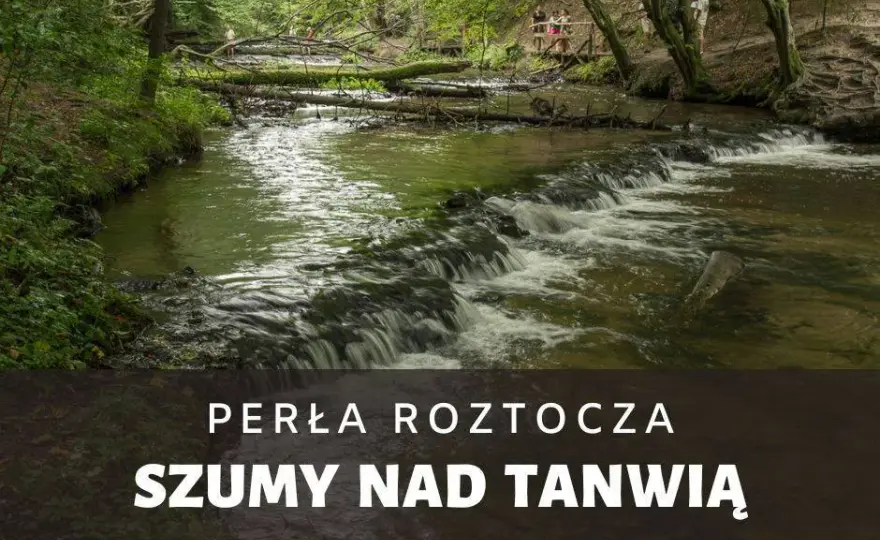 Rezerwat Szum: Kaskady Tanwi, szlaki i planowanie wycieczki na Roztoczu