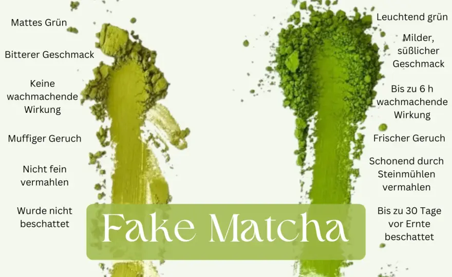 Zeremonieller Matcha - So erkennst du echte Qualität!