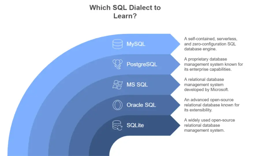 A cosa serve una query? Guida pratica a SQL e database