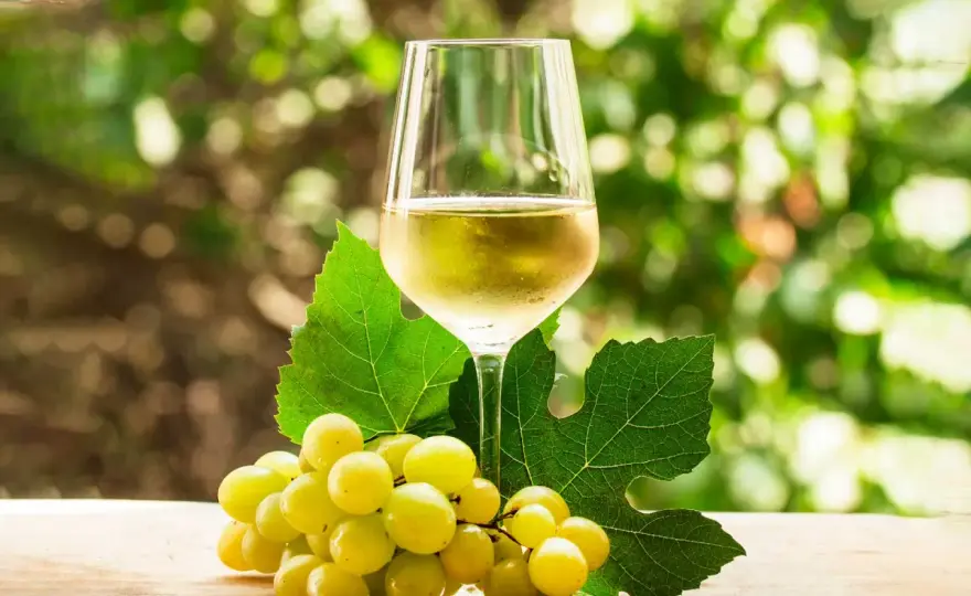 Rueda vs. Verdejo - Claves para elegir y maridar tu vino