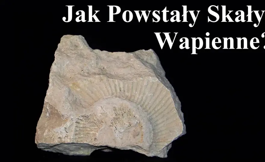 Jak powstały skały wapienne? Odkryj tajemnice ich formowania