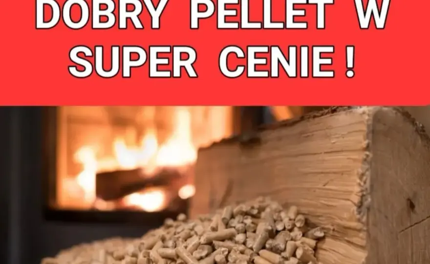 Pellet Olimp czy Barlinek - który wybór przyniesie lepsze efekty?