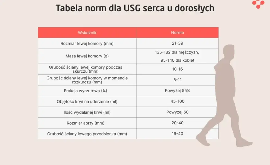 Echo serca - co pokazuje i jak interpretować wyniki? Poznaj normy