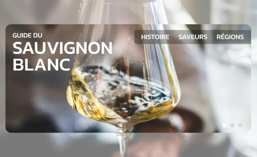 Sauvignon Blanc - Accords Mets et Vins Réussis