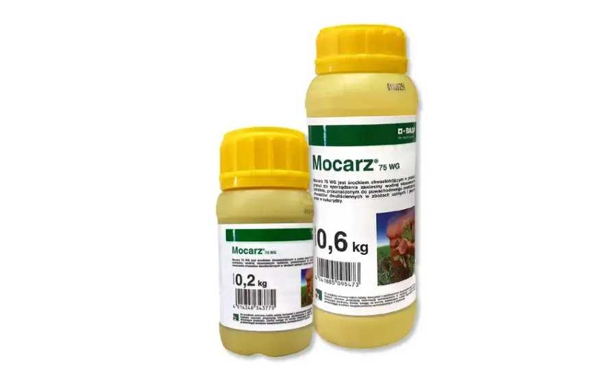 Mocarz: Cena, Skład, Objawy Zatrucia i Prawne Konsekwencje