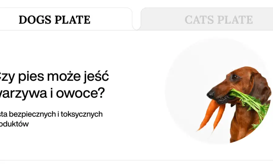 Warzywa dla psa - Które są bezpieczne, a których unikać?