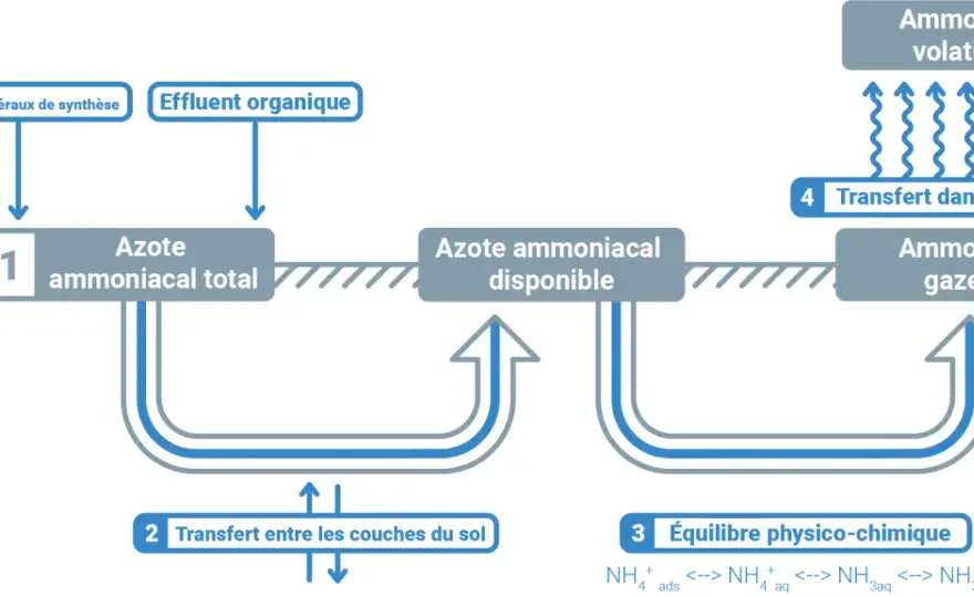 Engrais Nexen - Sécurisez l'azote, évitez la volatilisation