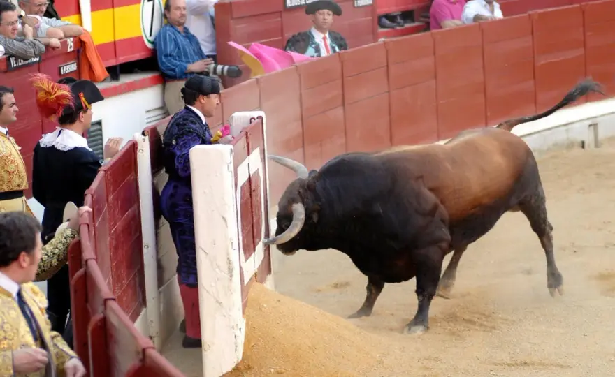 Burladero - ¿Qué es y por qué es clave en una plaza de toros?