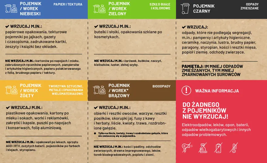 Plastikowe doniczki: gdzie wyrzucić? Proste zasady segregacji