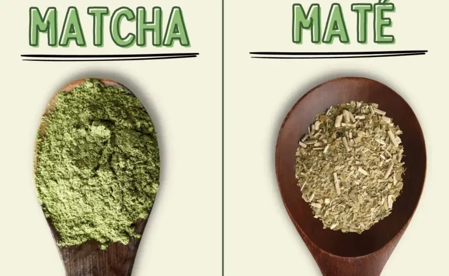 Matcha vs. Mate - Was ist besser für dich?