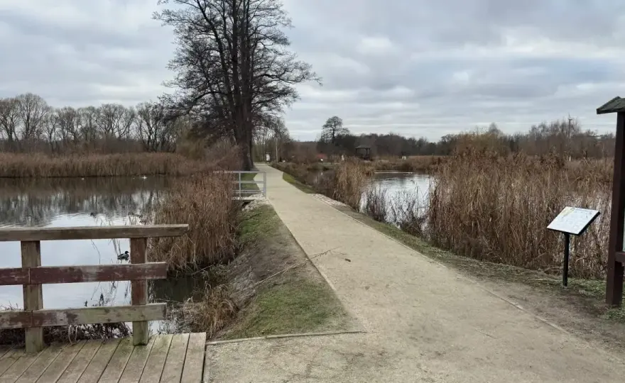 Białowieża z psem - Gdzie spacerować? Przewodnik dla opiekuna